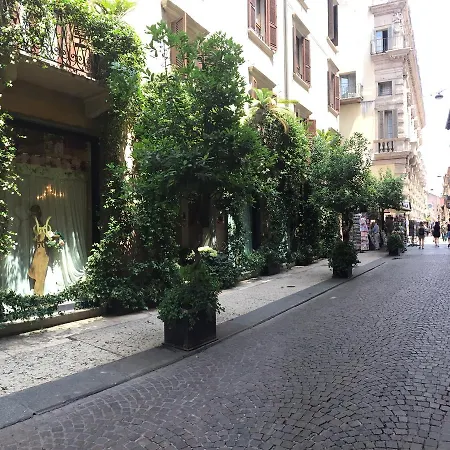 Gabbia D'oro Verona