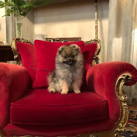 Gabbia D'oro Hotel Verona