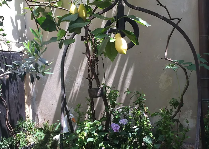 غابيا دا أورو 5* فيرونا