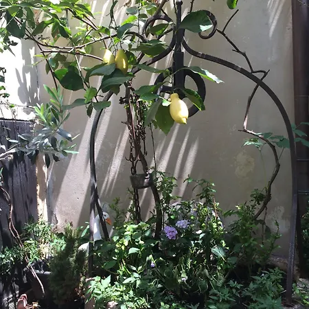 Gabbia D'oro 5* Verona