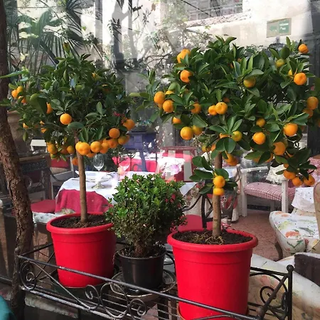 Gabbia D'oro Hotel Verona